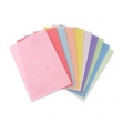 Sizzix® Accessory - Cardstock Sheets, 10PK (10 Color pastello) 663022