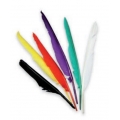 PIUME INDIANI - CM.25 - COLORI ASSORTITI - CONF. 12 PEZZI