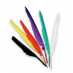 PIUME INDIANI - CM.25 - COLORI ASSORTITI - CONF. 12 PEZZI
