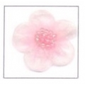 FIORELLINO ORGANZA CON PERLINE A 5 PUNTE - CONF. 25PZ.