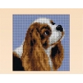 KIT COTONE LANATO - MOTIVI ANIMALI - CM. 13x15 - PZ.2