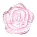 ROSELLINE RASO MM/9