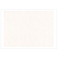 SANGALLO FIORI E FOGLIE - 100%COTONE CM.150